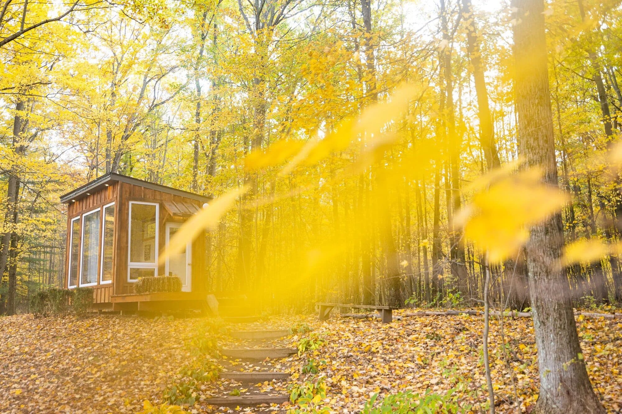 Fernwood Hills property — 40 acres of private forest near London, Ontario